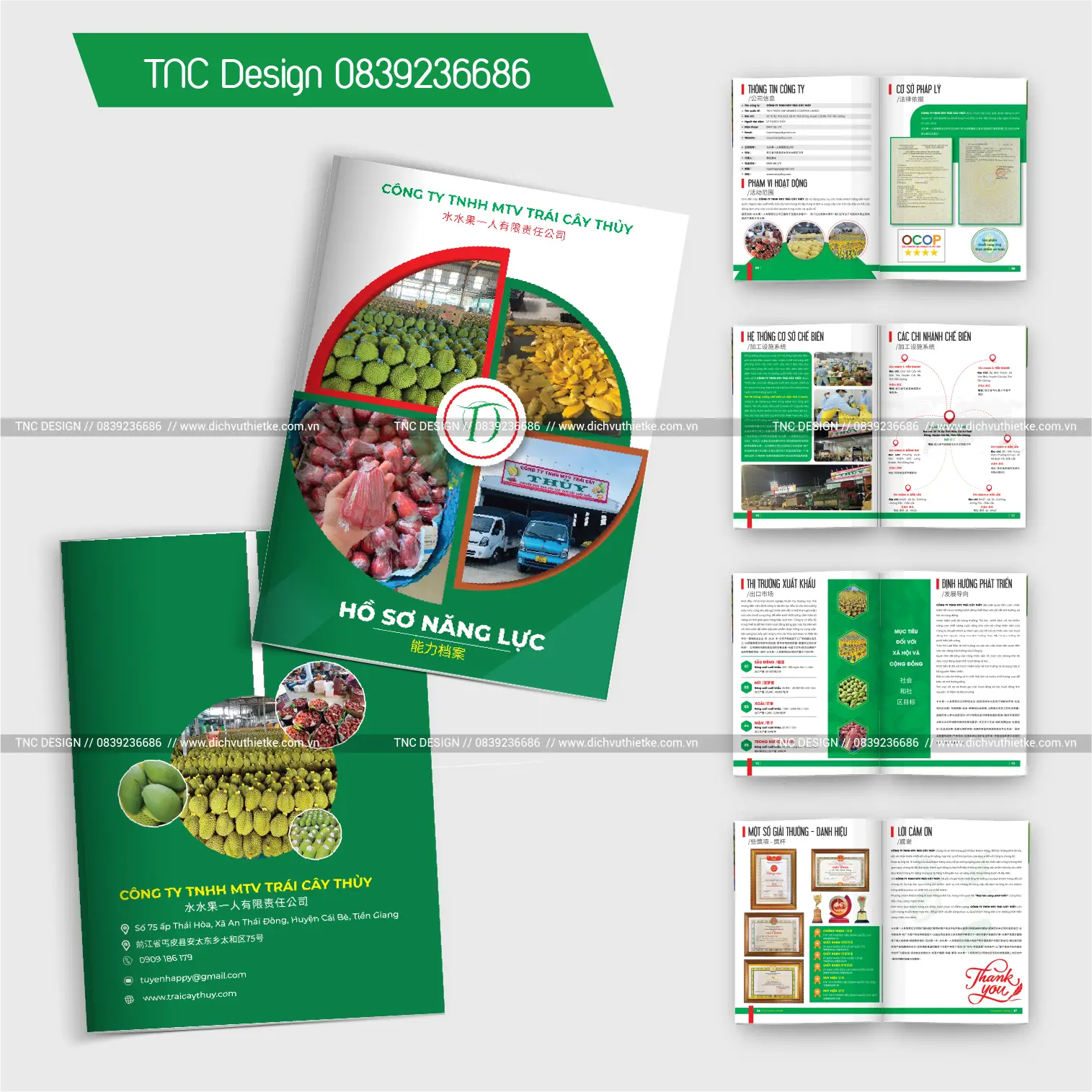 Thiết Kế Hồ Sơ Năng Lực Công Ty Trái Cây Thủy